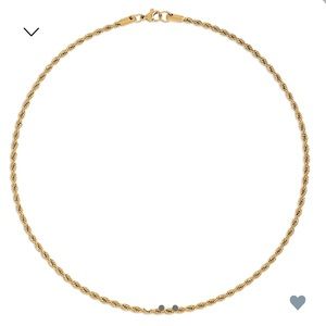 BRAND NEW Joelle Rope Chain Necklace